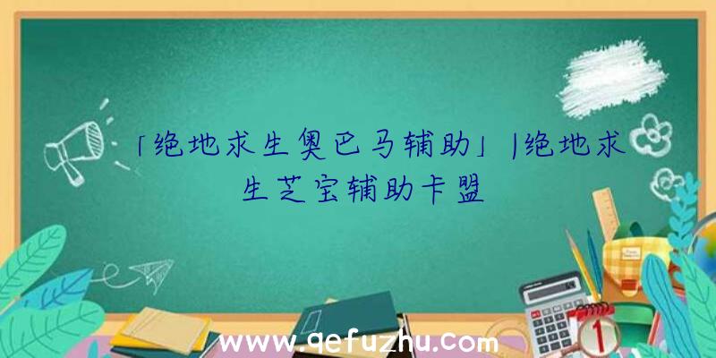 「绝地求生奥巴马辅助」|绝地求生芝宝辅助卡盟